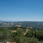 Canonica-manella Quadro Vecchio