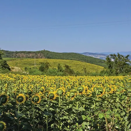 Canonica-manella Сasa de vacaciones Canonica (Umbria)