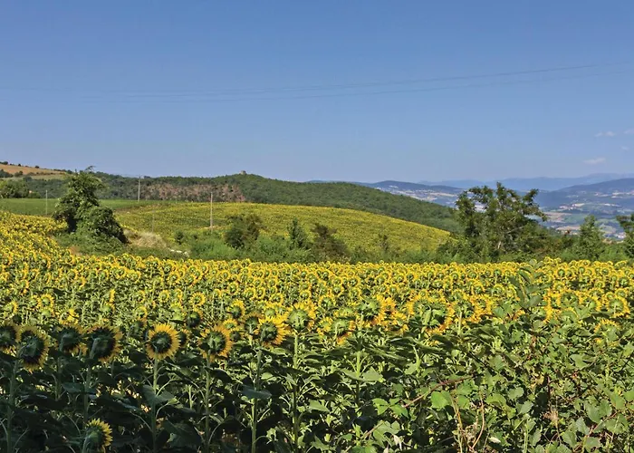 Canonica-manella Holiday home Canonica (Umbria)